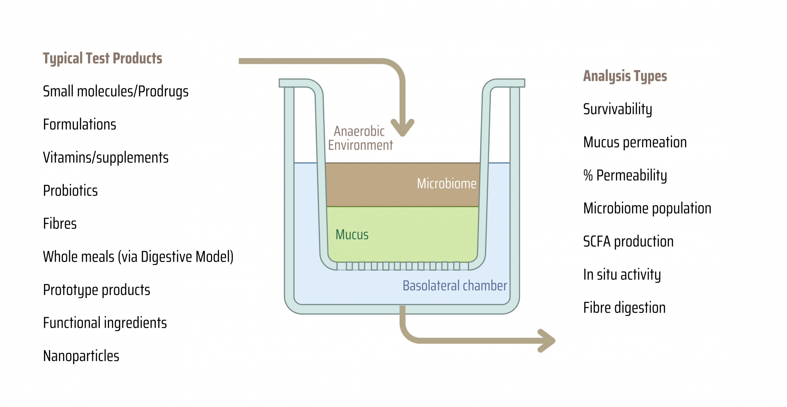 Colon Kit Permeable Membrane System