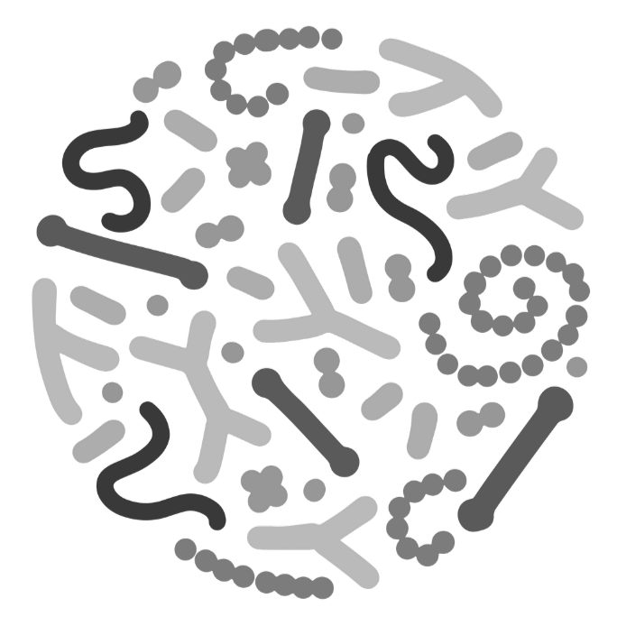 Colonic Model