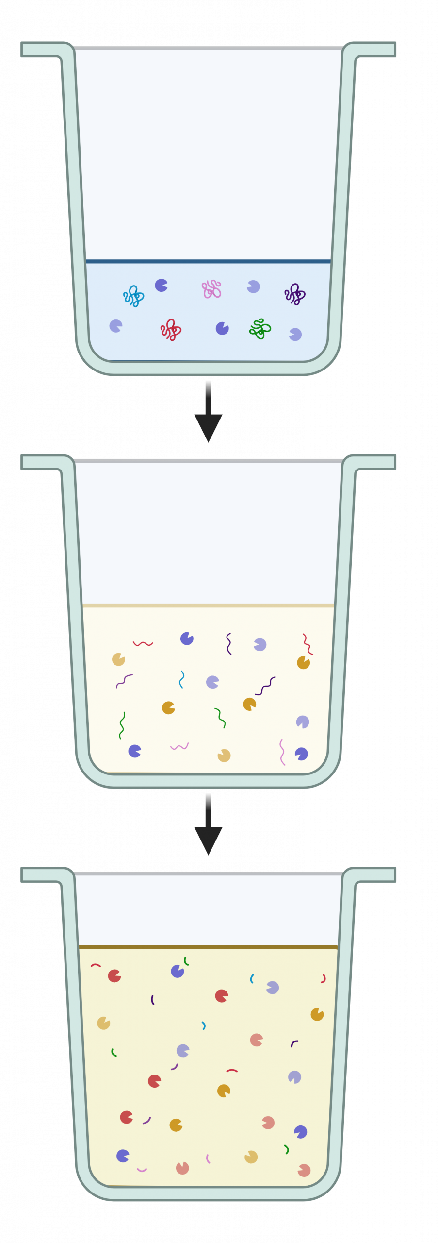 Mini Model Gut