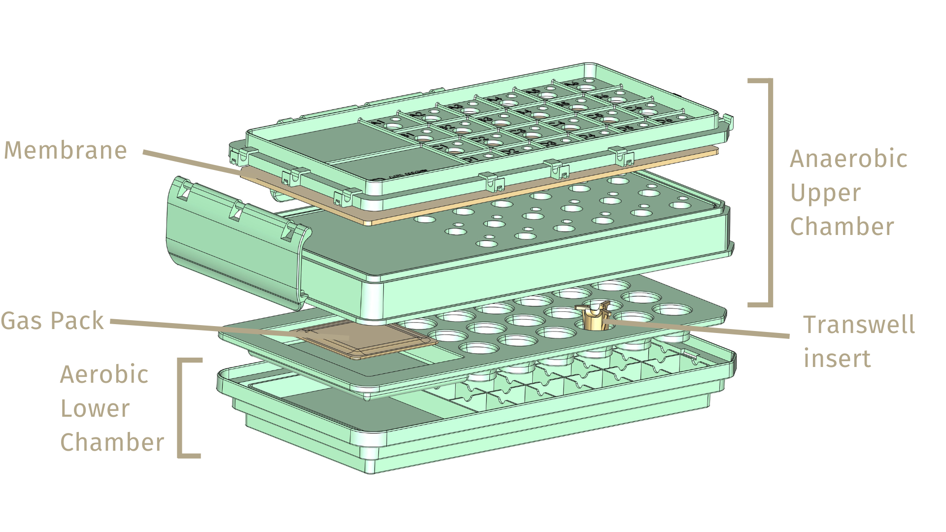 Colon Kit Diagram