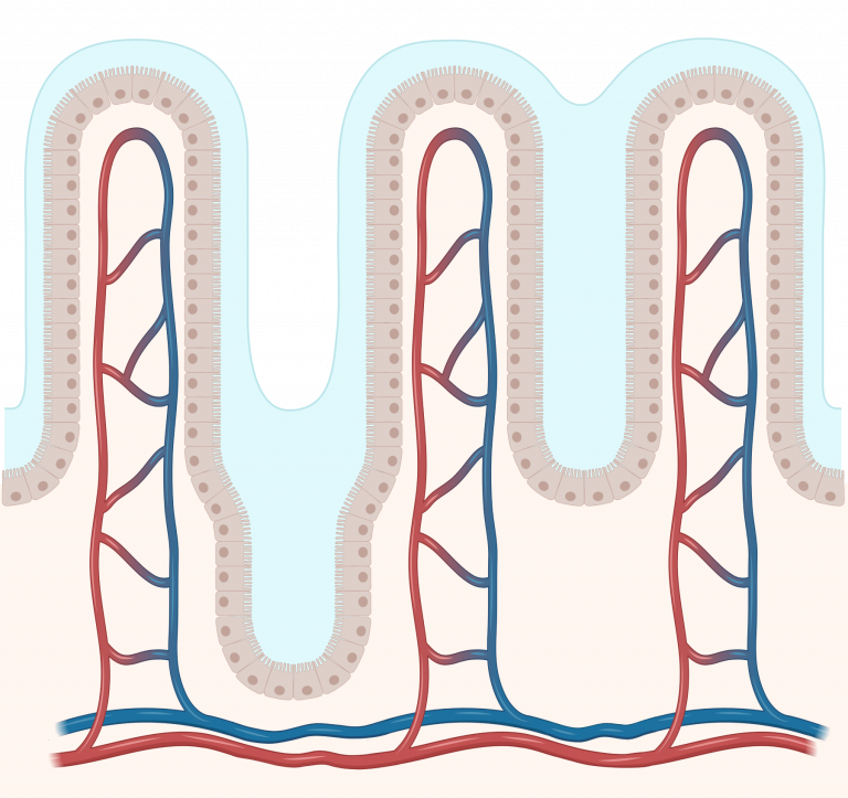 New Publication: Mucus Review