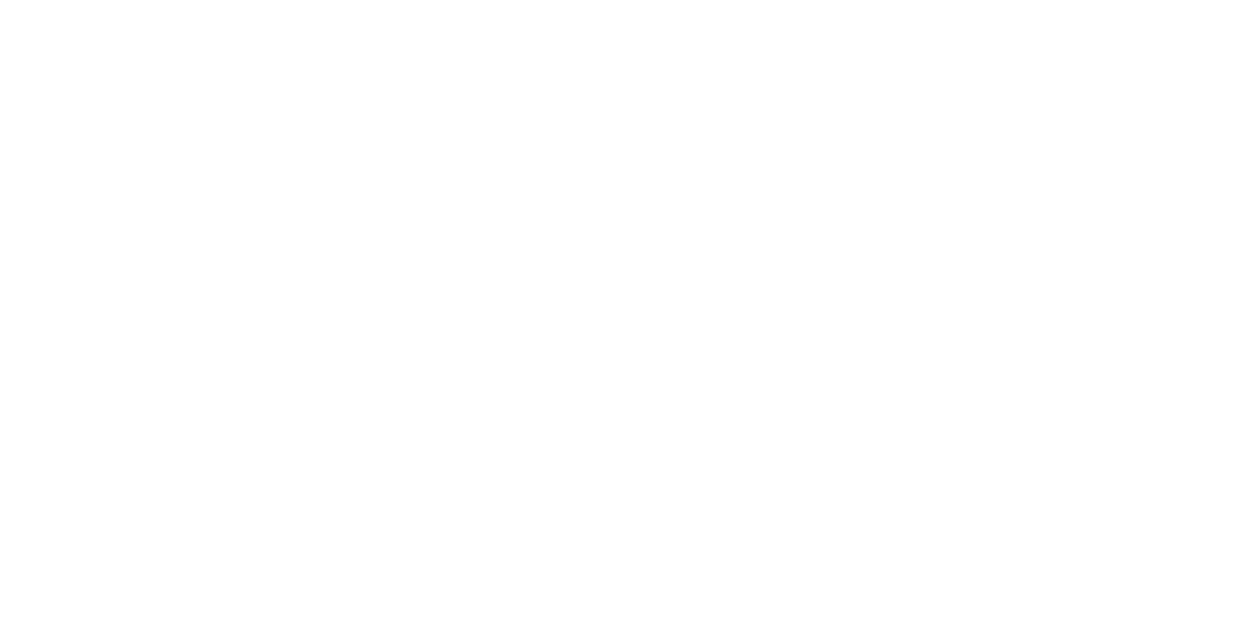 The Future of Gut Modelling