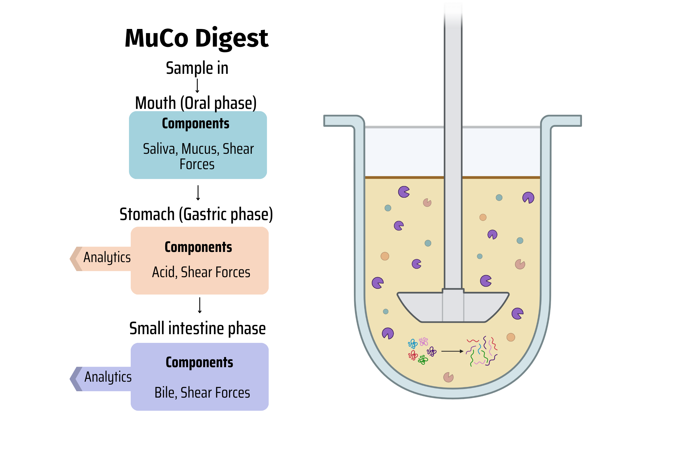 Aelius MuCo Digest schematic